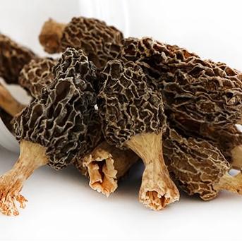 Porcini Drying Process